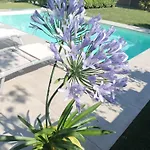 Гостевой дом Casa Di Sissy Con Piscina Privata - Zona Igea 4*