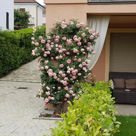 Konukevi Casa Di Sissy Con Piscina Privata - Zona Igea 4*