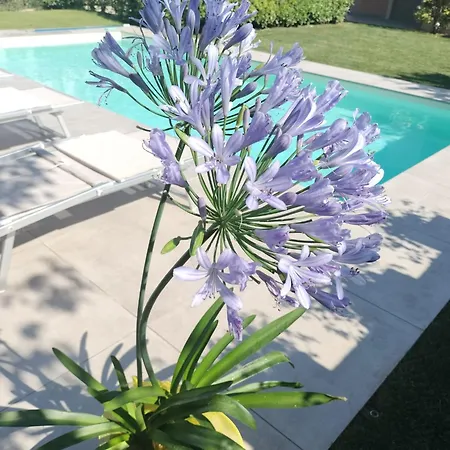 게스트하우스 Casa Di Sissy Con Piscina Privata - Zona Igea 4*