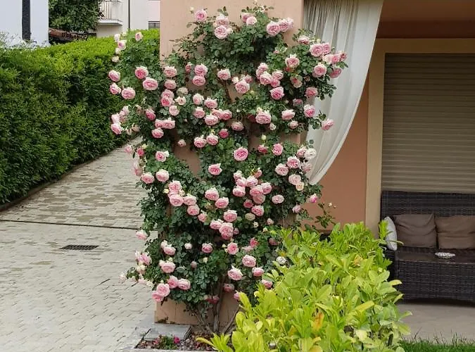 Гостевой дом Casa Di Sissy Con Piscina Privata - Zona Igea 4*